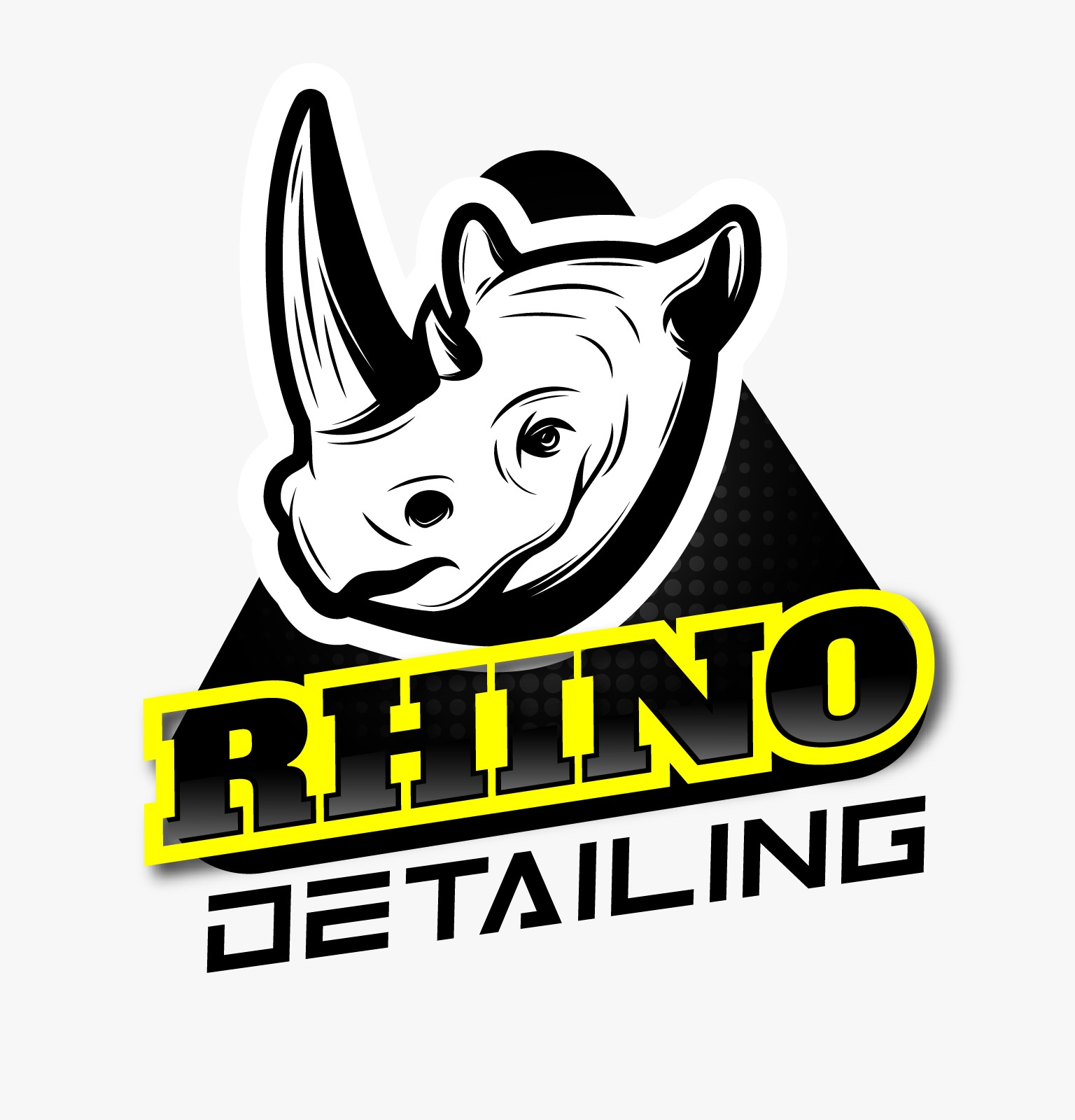 rhino-detailing